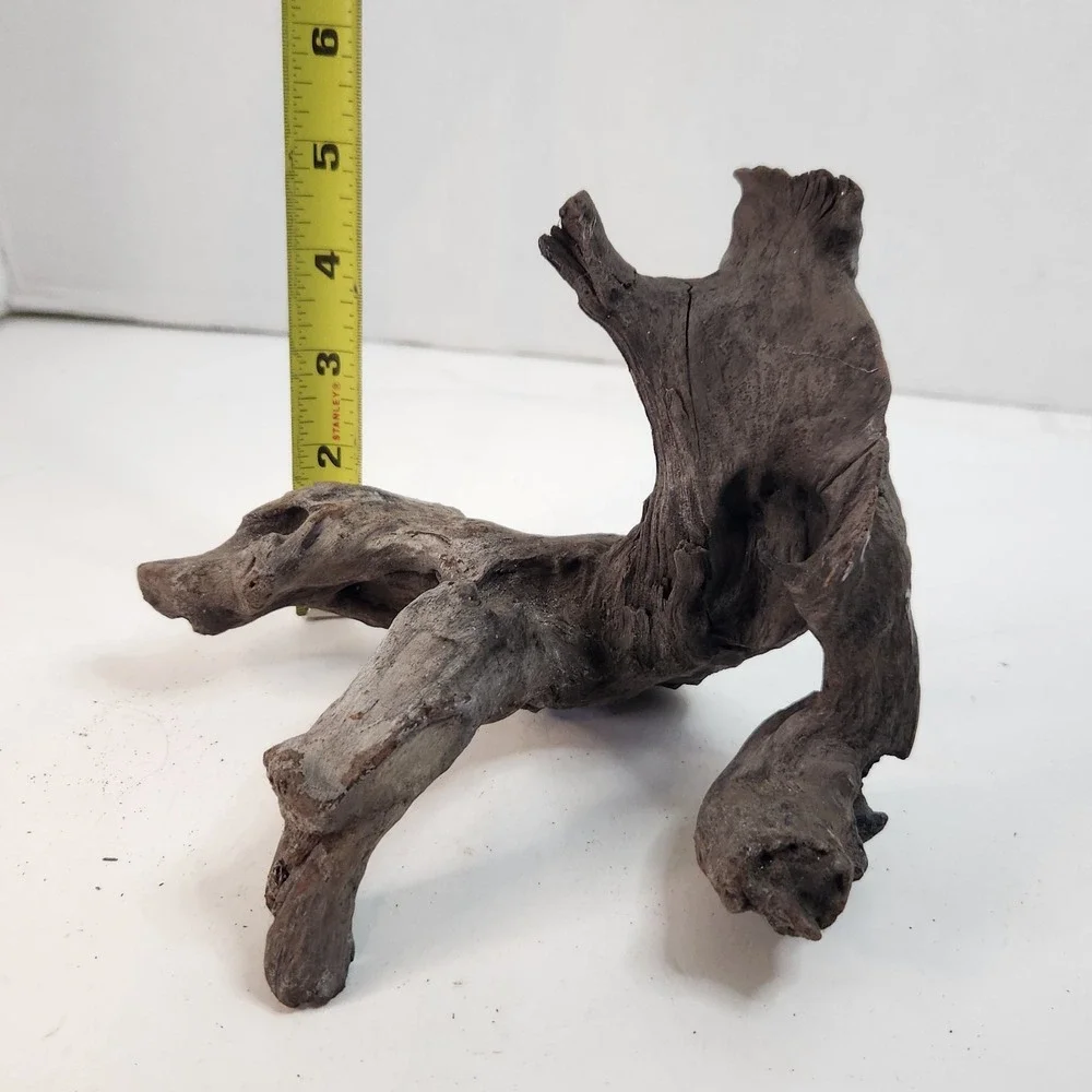 Natural driftwood for aquarium/terrarium/arts and crafts/Taxidermy Burl Habitat